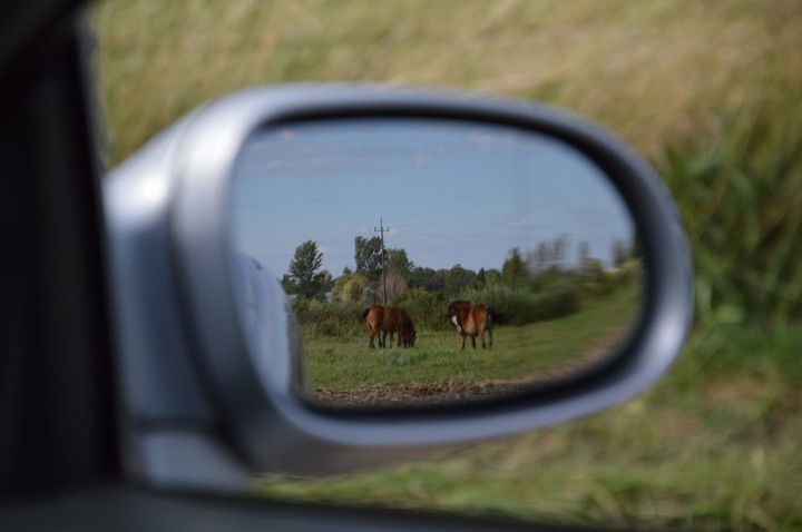 Wypad pod Tolkmicko.. Nie da się nie zauważyć piękna... nawet odwracając się do niego tyłem. (Wrzesień 2015)