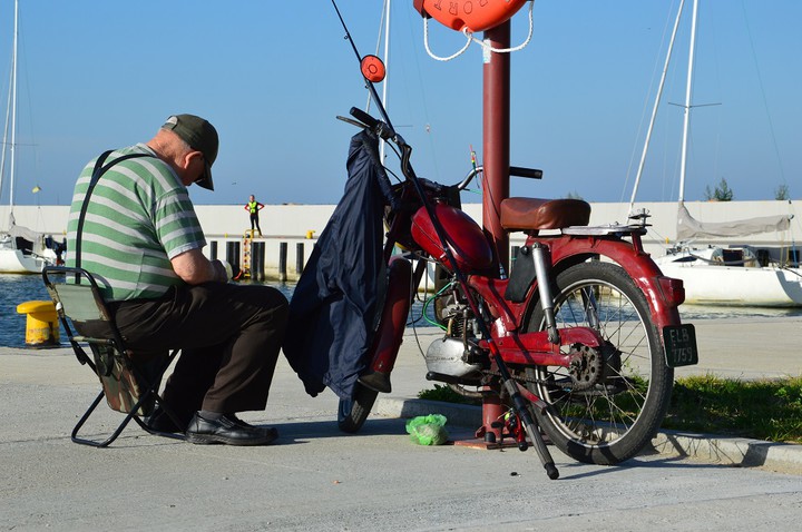 Sezon na komara.. Port w Tolkmicku.