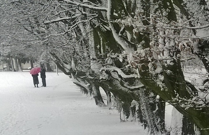 Zachwyciła puszystością i kolorem...... Mówiono,że nie będzie zimy ale przyszła i zachwyciła i spacerować można po skrzypiącym śniegu.Park Kajki.