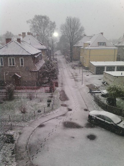 Pada śnieg w Elblągu, 23 listopad 2015 r..