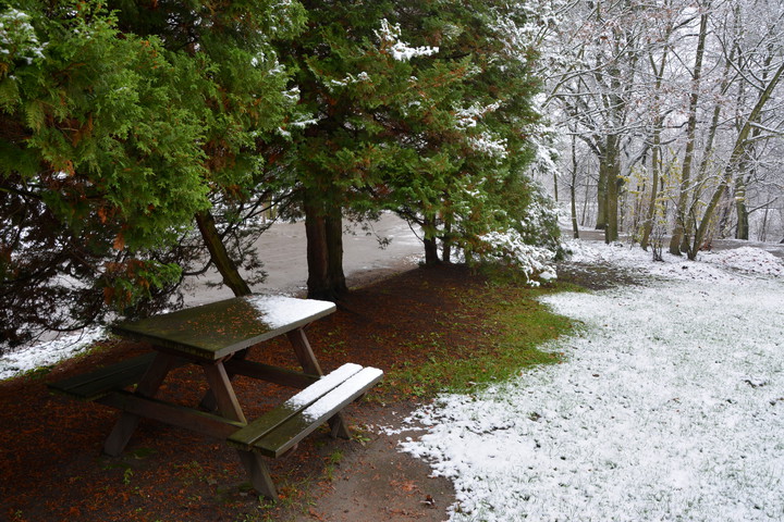 pierwszy śnieg. W Bażantarni pierwszy śnieg niedługo poleżał, ale zawsze to coś.