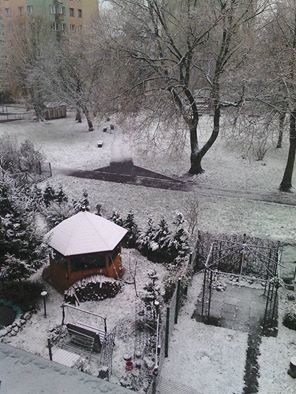 Pada śnieg w Elblągu, 23 listopad 2015 r..