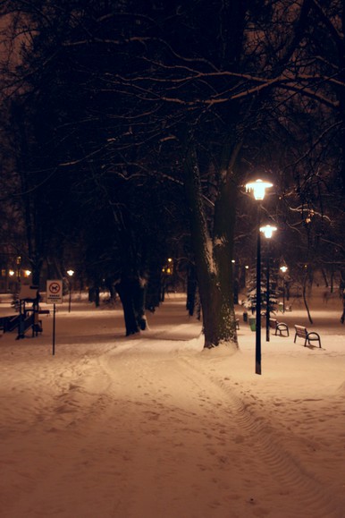 Zimowy park. Elbląg