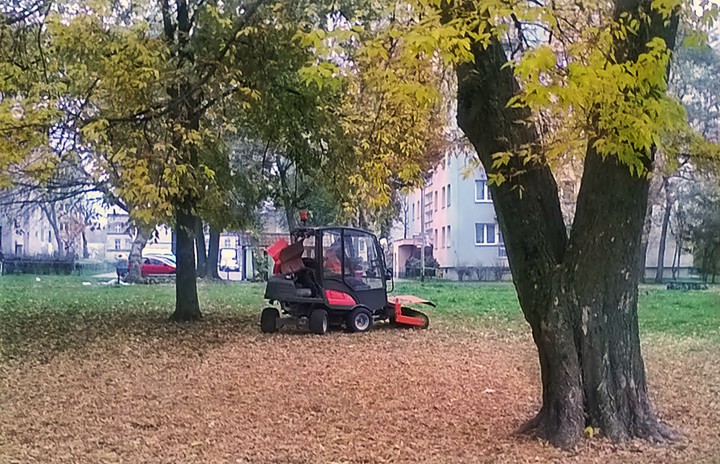 Jesienne porządki. Pora na sprzątanie liści. (Listopad 2015)