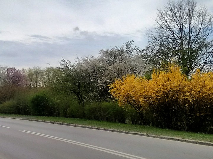 Wiosenne kolory. Wiosna wiosna wiosna.... Ach to Ty (Kwiecień 2016)