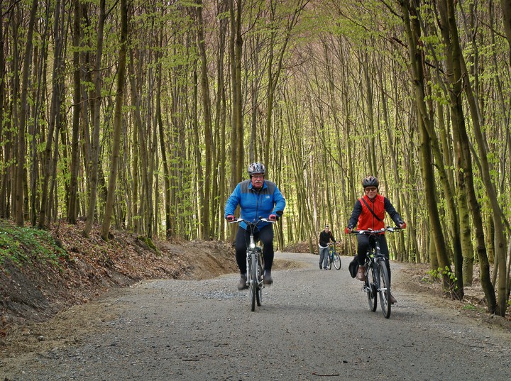 Elbląski odcinek trasy Green Velo. Pomimo wielu kontrowersji wokół powstałego w Bażantarni odcinka trasy Green Velo, trzeba przyznać, że zachwyca on swoją malowniczością i świetnie wkomponował się w leśny krajobraz. (Kwiecień 2016)