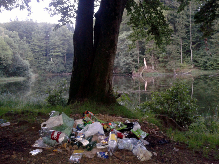 Tak się bawi Elbląg. Jelenia Dolina - ulubione miejsce wypoczynku elblążan