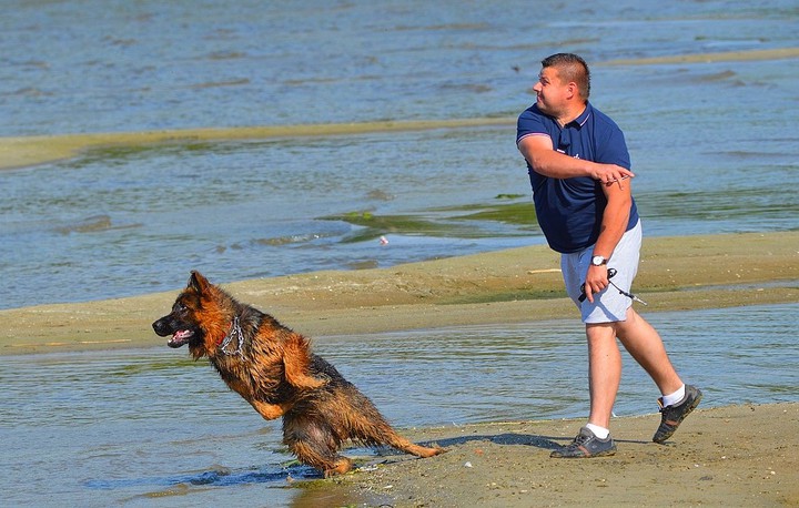 Aport.... Na plaży w Tolkmicku. (Maj 2016)