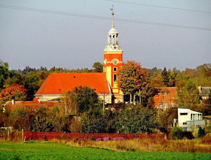 KOLORY JESIENI. KAMIENIEC KOŁO SUSZA TEREN POWIŚLA (Październik 2016)