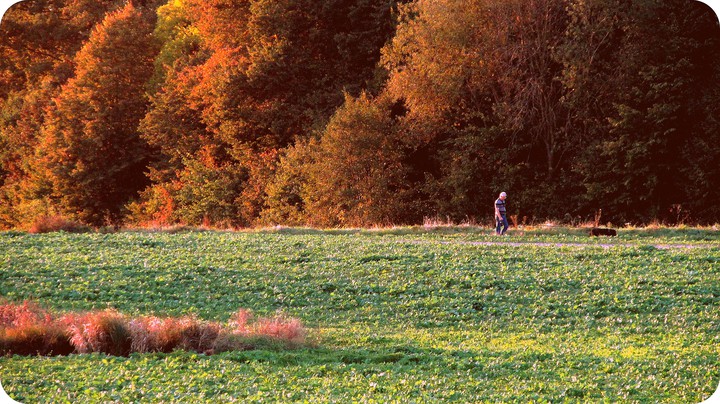 Weekendowy spacer. MODRZEWINA PÓŁNOC