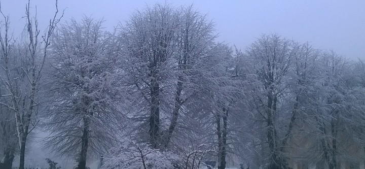 Zima maluje zjawiskowo jak niejeden uzdolniony artysta..  (Styczeń 2017)