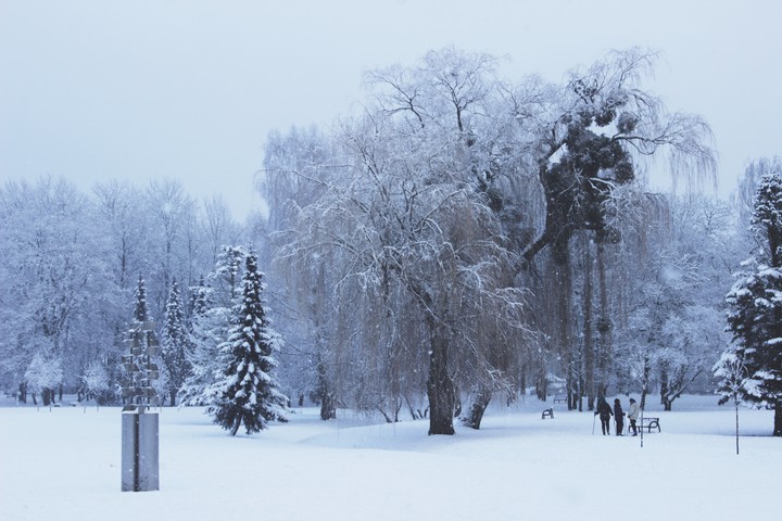 Park zimowy