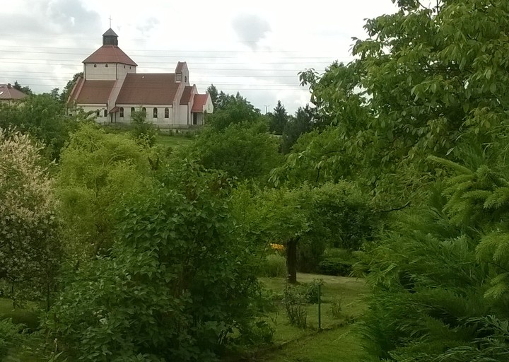 Piękny Elbląg.. Okolice Gęsiej Górki. (Lipiec 2017)