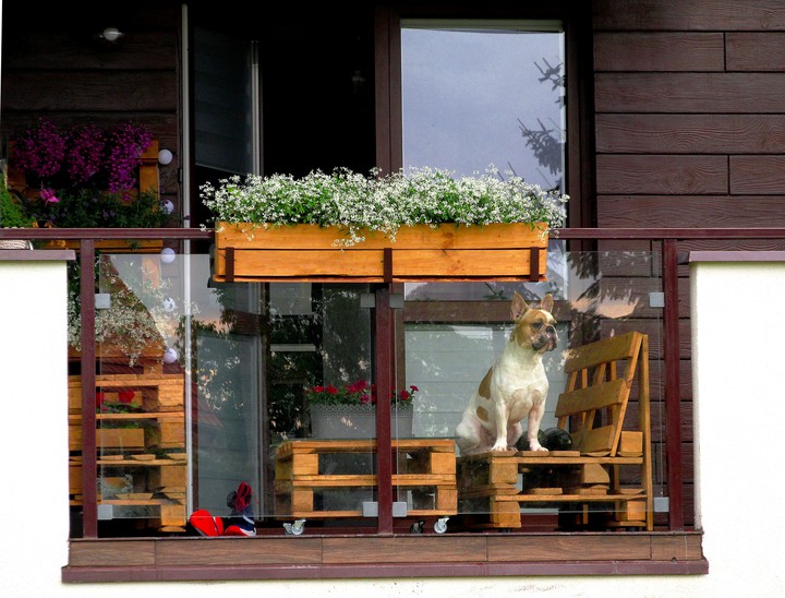 TO MÓJ BALKON, CO ŁADNY?