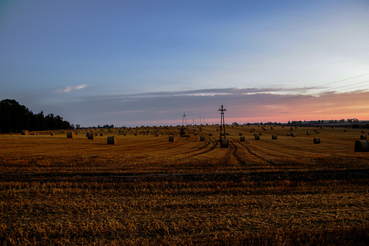 Pole o wschodzie Słońca....  (Sierpień 2017)