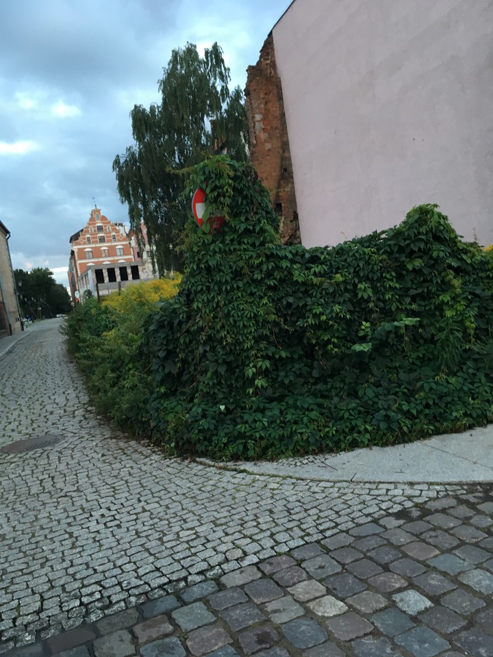 Znak drogowy na Starym Mieście..