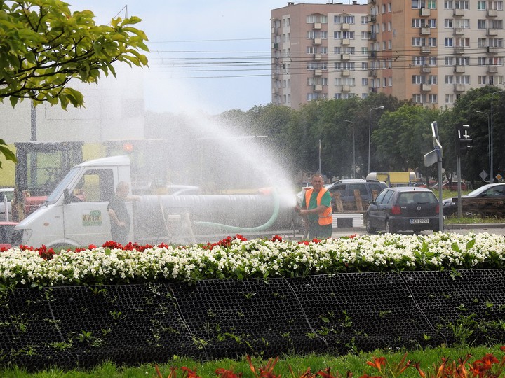 Lato w mieście. Roślinkom też trzeba ochłody