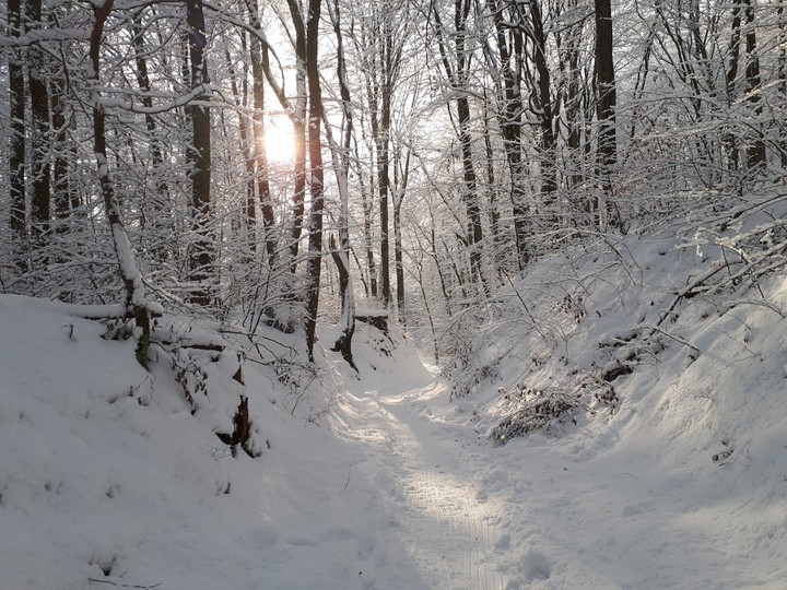 Bajka. Bażantarnia, 21.01.2018. Spacer przez zaspy.