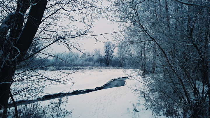 Bażantarnia zimą.