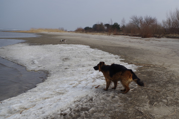 Kadyny 25-03-2018. Niby wiosna, ale nie zawsze jest pięknie ;)