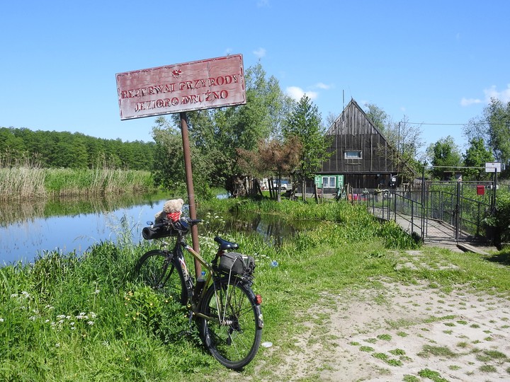 Na skraju świata. Stankowo, rezerwat Jezioro Drużno (Czerwiec 2018)