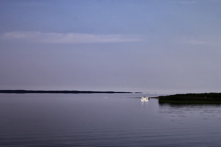 Można?. Suchacz (Czerwiec 2018)