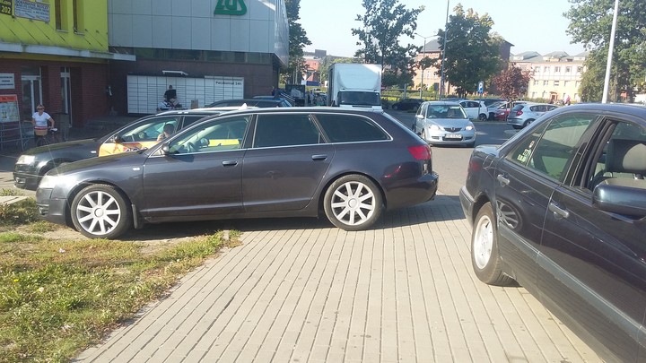 Plaga mistrzów. ...a obok duży parking ;)