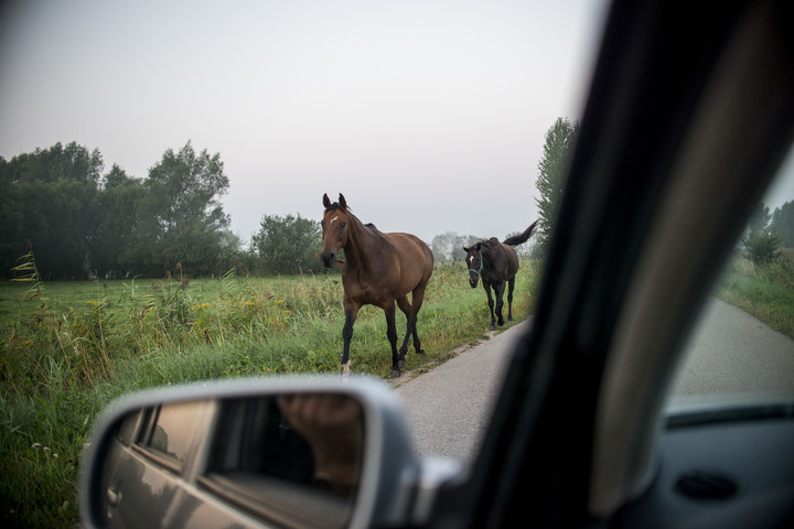 Uciekinierzy.  (Sierpień 2018)