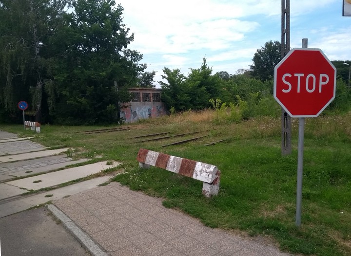 Tolkmicko, przejazd do portu. Tory drzewami zarastają, ale Stop nówka-blaszka (Sierpień 2018)