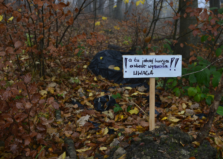 Tu nie trzeba tytułu.  (Listopad 2018)