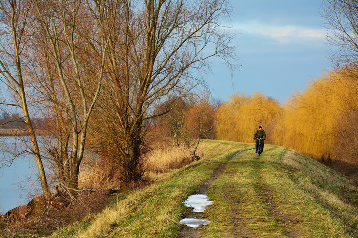 Styczniowy rowerzysta. Nad rzeką Elbląg (Styczeń 2019)
