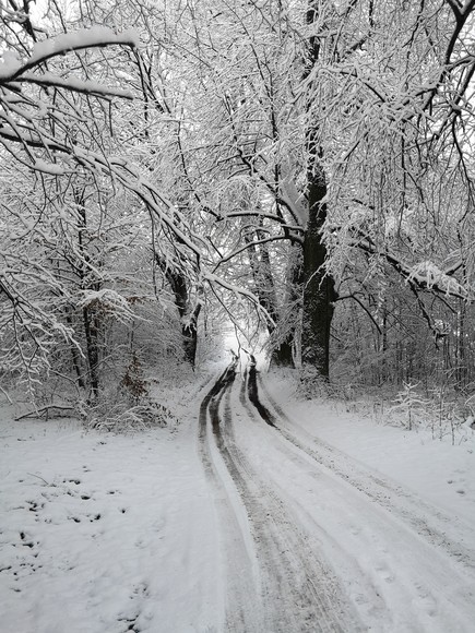 Śnieżna Kraina