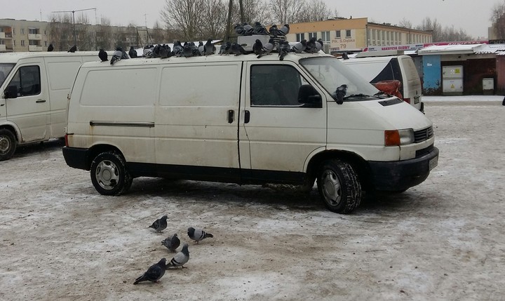 Wiedzą gdzie jedzenie.... 26.01 2019 r. - targowisko miejskie, auto obok stoiska z ziarnem, zbożami i słonecznikiem (Styczeń 2019)