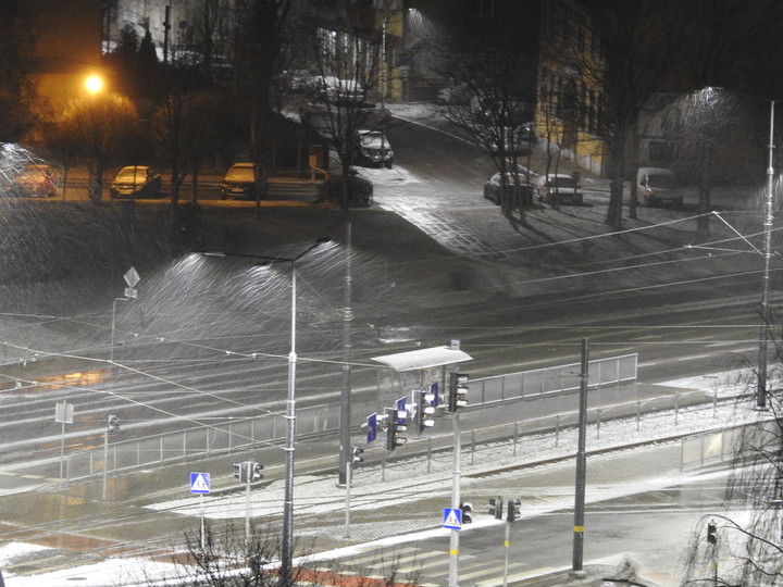 Na świętego Grzegorza idzie zima.... To już wiosna? Prawie! (Marzec 2019)