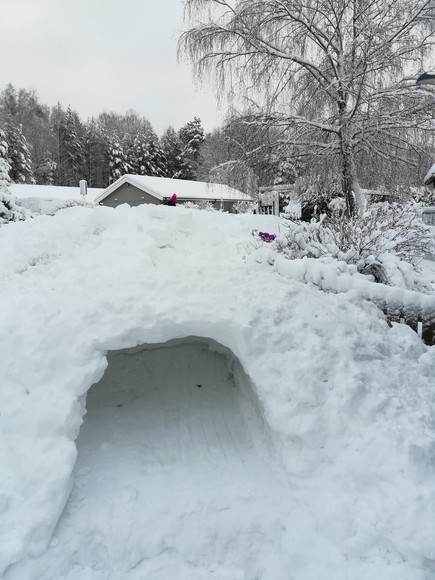 Igloo.  (Luty 2019)