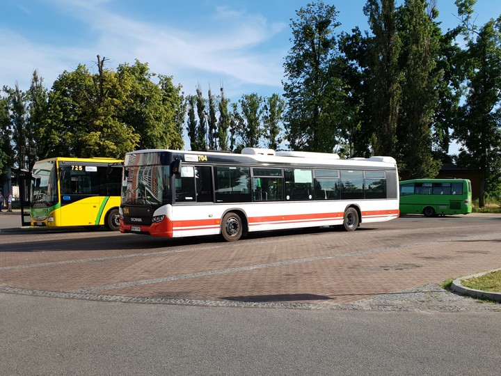 Nowy, klimatyzowany, chwilowy autobus.... Tak jak w tytule, jest to pierwszy klimatyzowany autobus w Elblągu. Sprowadzony w Gdańskich barwach, zamiast naszego elbląskiego 704, ale tamten zabrał komornik, bo warbus upada... Resztę tajemnic skrywa ZKM...