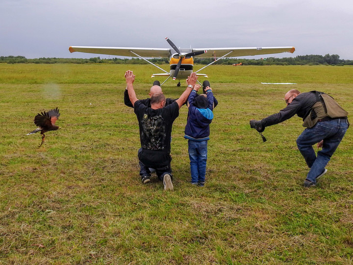 Jastrzębi lot. Pokazy lotu dynamicznego Jastrzębia towarzyskiego na Festynie lotnictwa. (Wrzesień 2019)