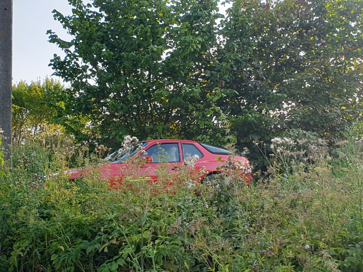 Ferrari w podelbląskich krzakach .