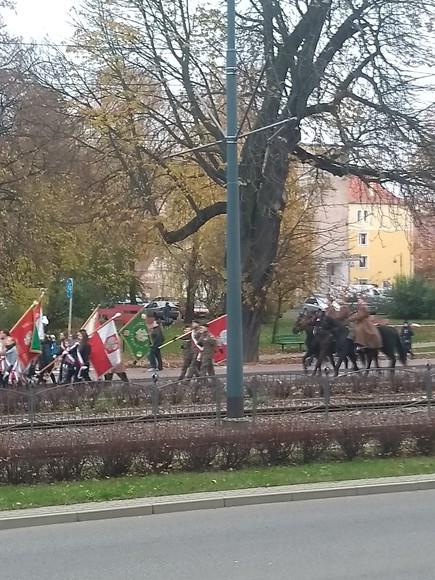 Dzień niepodległości.  (Listopad 2019)