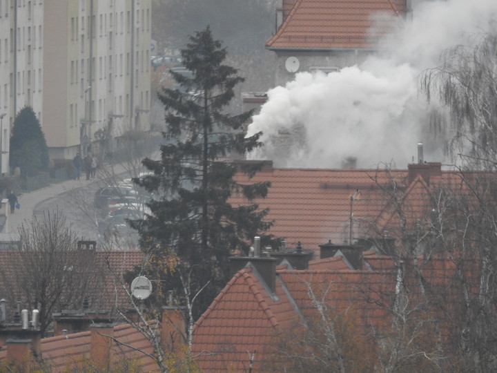 Listopadowy piękny poranek. Tylko oddychać pełną piersią!