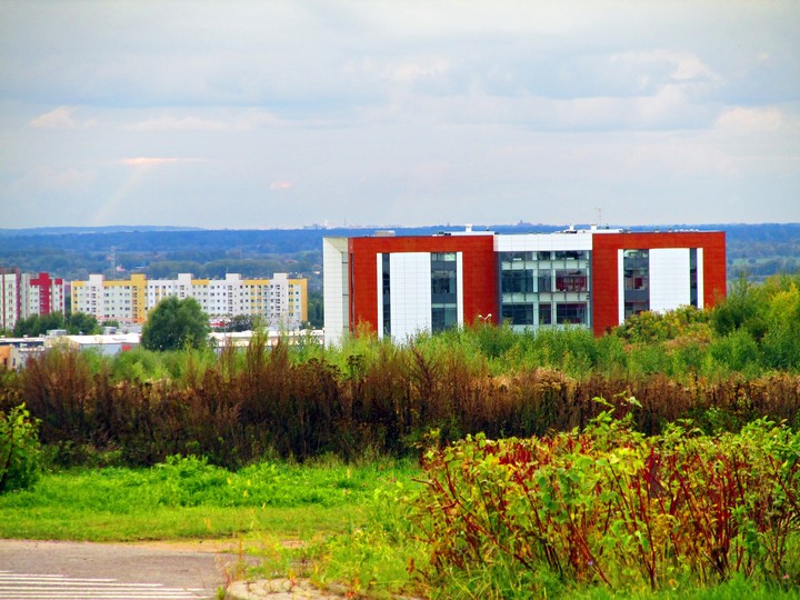 Elbląg z Modrzewiny. Modrzewina,  na horyzoncie Malbork ze swoim zamkiem