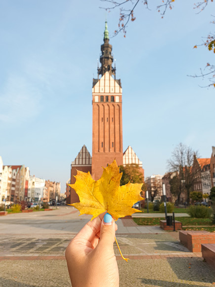 Jesień na Katedrze.