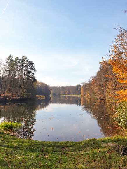 Jesienna Dolina. Jelenia Dolina (Październik 2019)