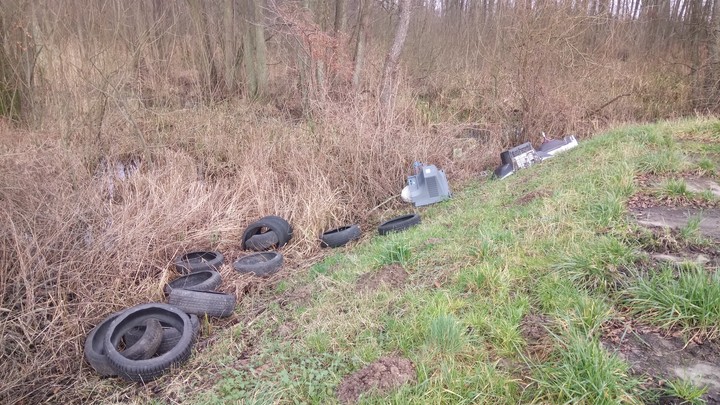 Made in Poland. Rezerwat przyrody Jezioro Drużno. Nasi tu byli... (Luty 2020)