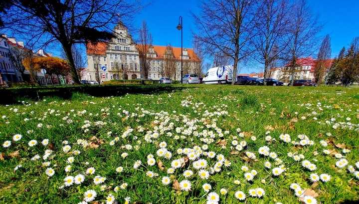 Wiosna w centrum Elbląga.