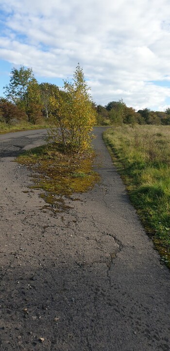 Nie tędy droga