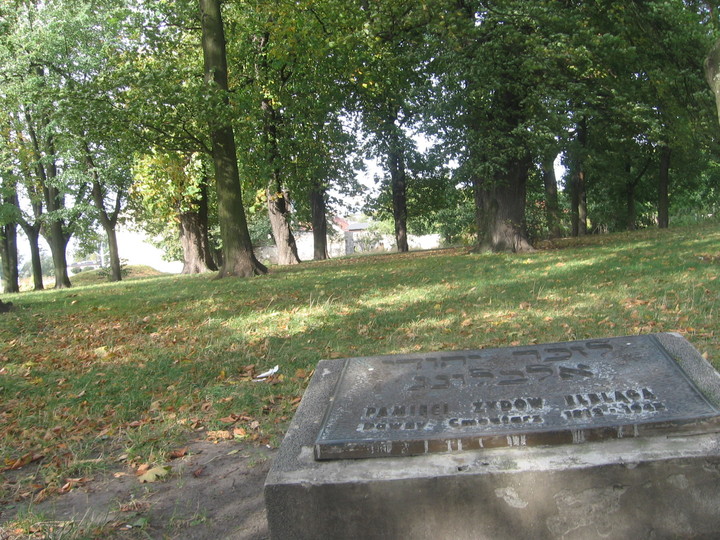 Już tylko szumią drzewa.. Dawny cmentarz żydowski przy ul.Browarnej. (Listopad 2012)