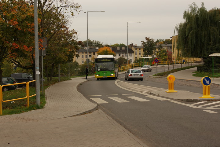 Ekologia. W ekologicznym Elblągu drzewa rosną na autobusach. (Październik 2012)
