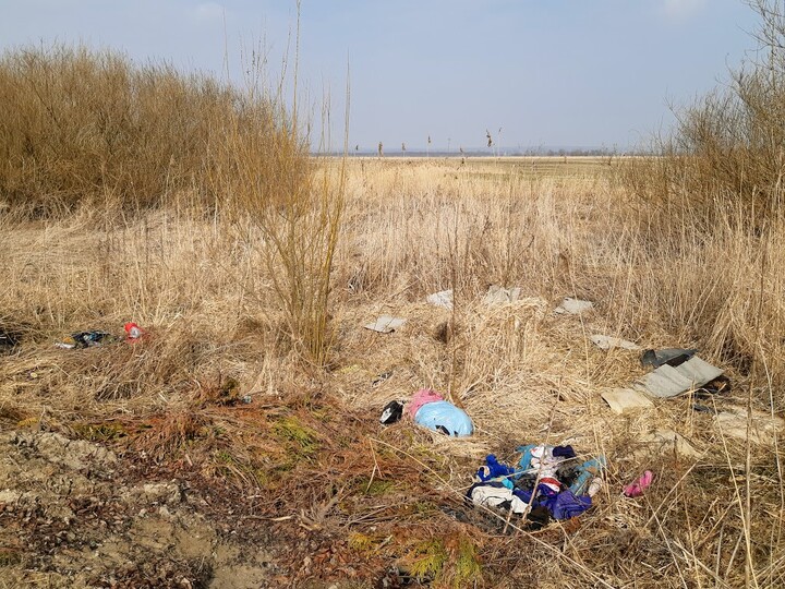 Aby w przyrodzie nie było zbyt szaro.. Przy Kanale Elbląskim w Dłużynie. (Marzec 2021)