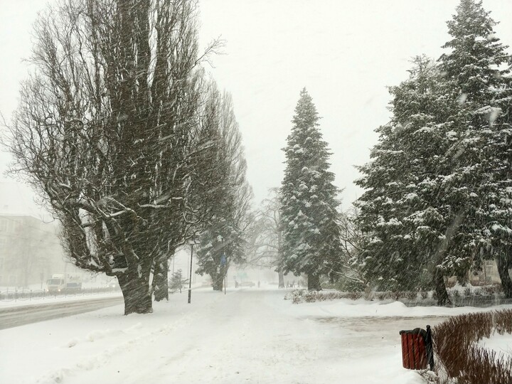 Śnieżyca w mieście.